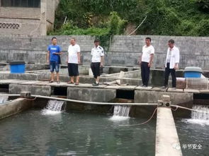 毕节市畜牧水产局强化监管，筑牢渔业安全生产与水产品质量安全防线