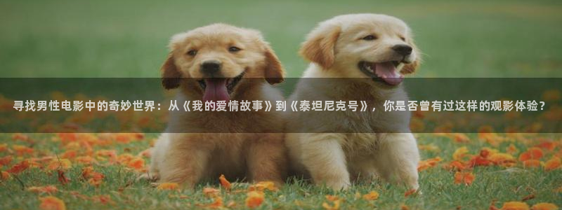 浮力影院中文字幕：寻找男性电影中的奇妙世界：从《我的爱情故事》到《泰坦尼克号》，你是否曾有过这样的观影体验？