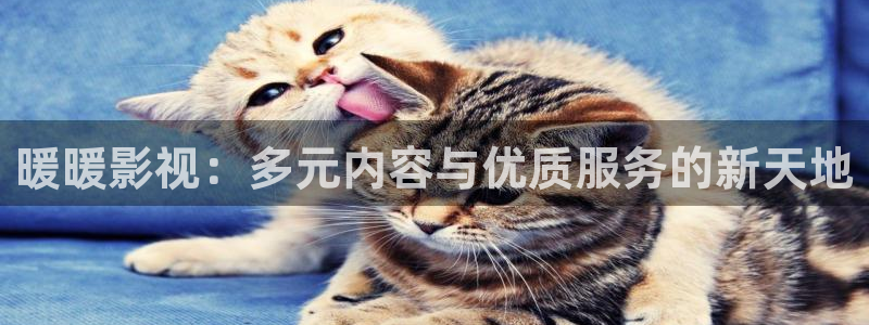 浮力影院无限资源：暖暖影视：多元内容与优质服务的新天地