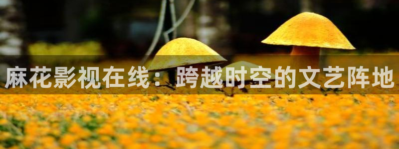 第一页浮力影院：麻花影视在线：跨越时空的文艺阵地