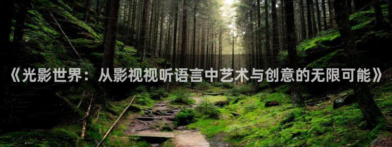 浮力影院528308：《光影世界：从影视视听语言中艺术与创意的无限可能》