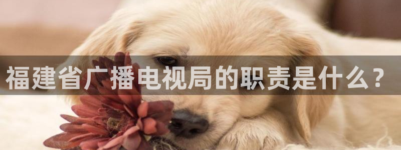 浮力影院草草视频：福建省广播电视局的职责是什么？